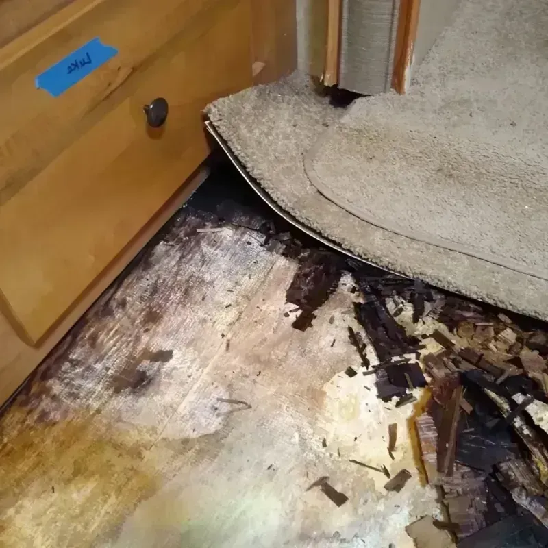 Wood Floor Water Damage in Payson, IL